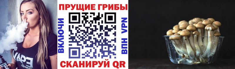 Галлюциногенные грибы Cubensis Похвистнево