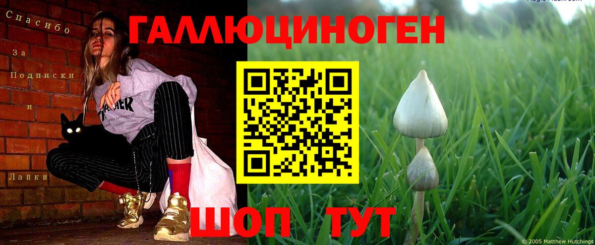 Галлюциногенные грибы Psilocybe  где можно купить наркотик  Псилоцибиновые грибы Magic Shrooms  Похвистнево  Вход с VPN 